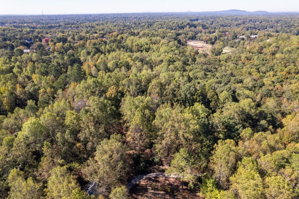 13250 Birmingham Highway