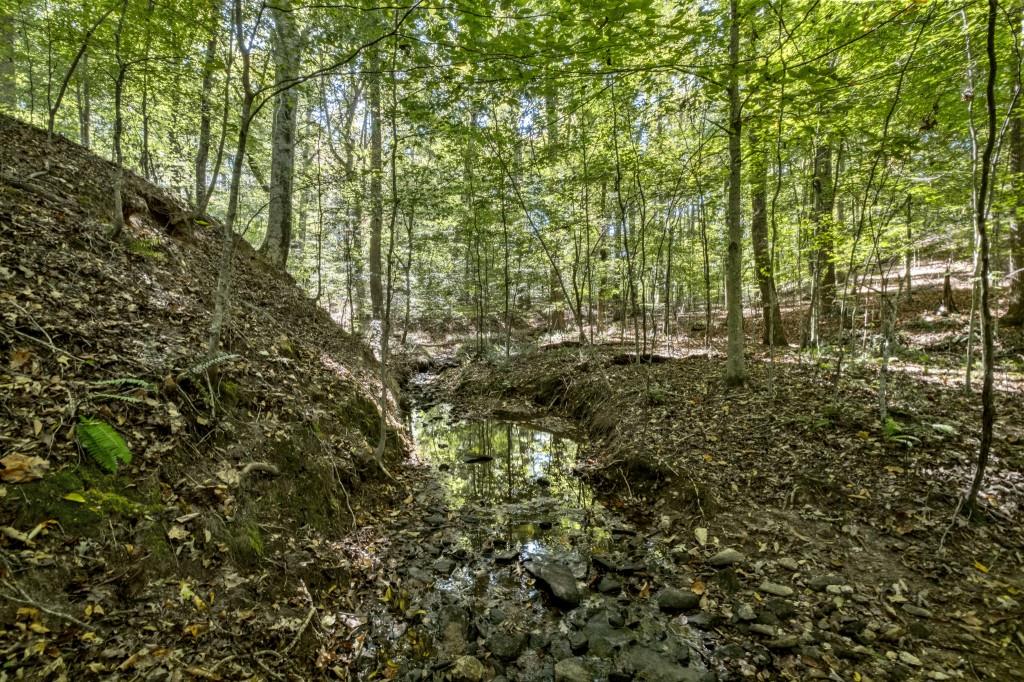 13250 Birmingham Highway