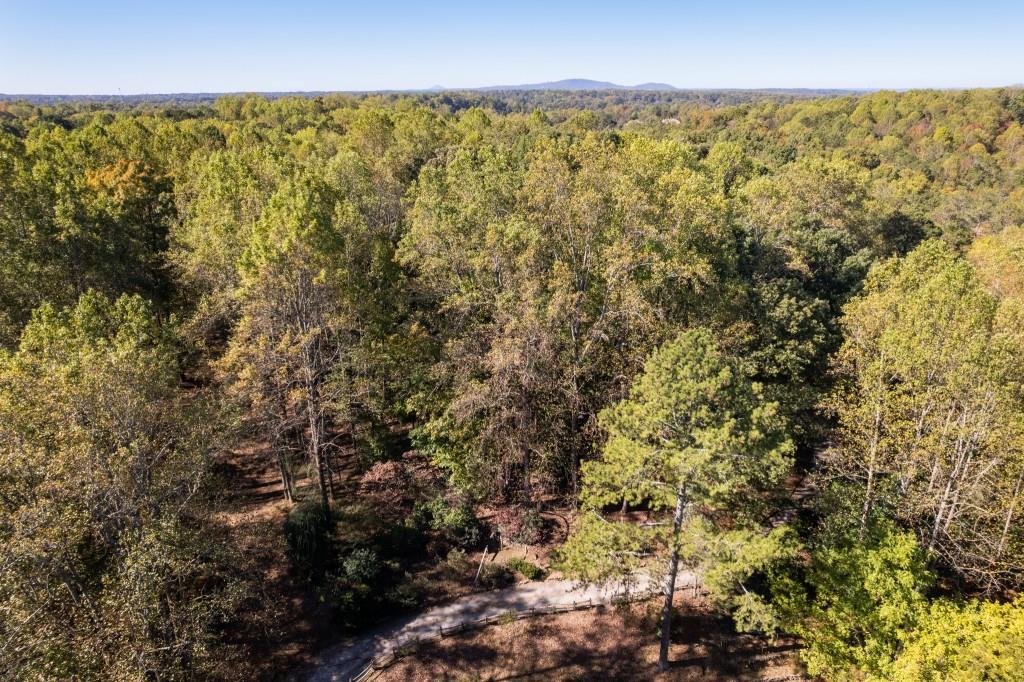 13250 Birmingham Highway