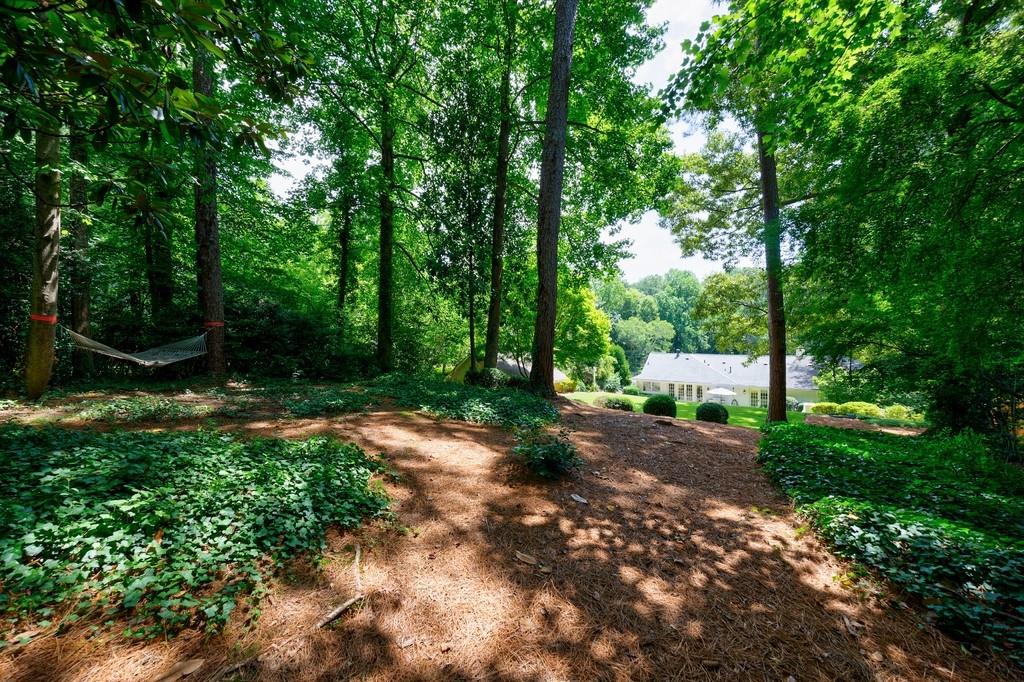 2942 Rhodenhaven Drive