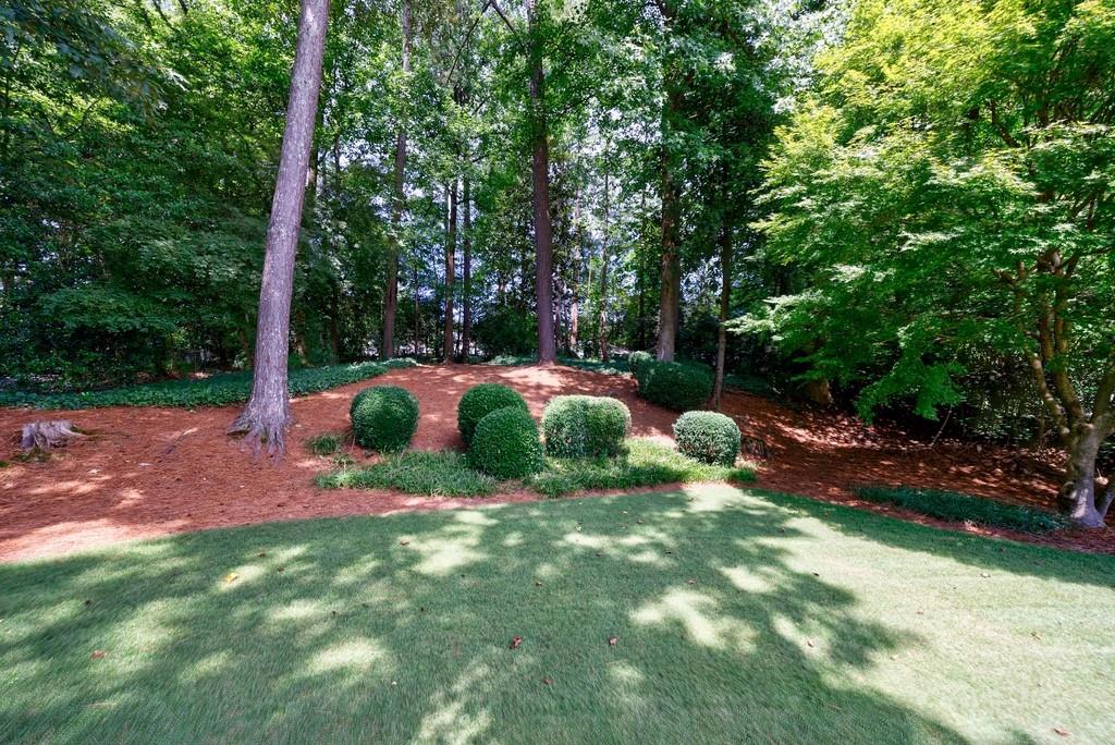 2942 Rhodenhaven Drive