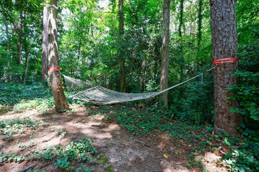 2942 Rhodenhaven Drive