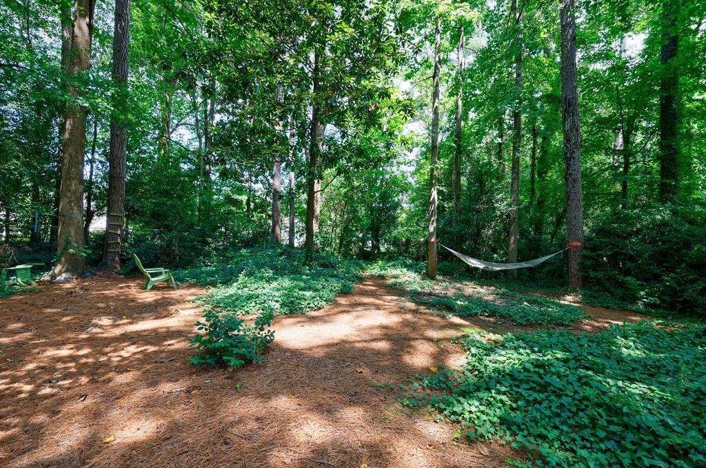 2942 Rhodenhaven Drive