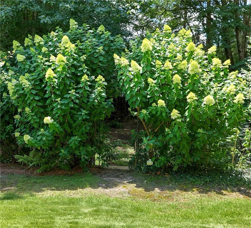 2705 Woodland Brook Lane SE