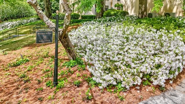 31 Muscogee Avenue NW Unit 3