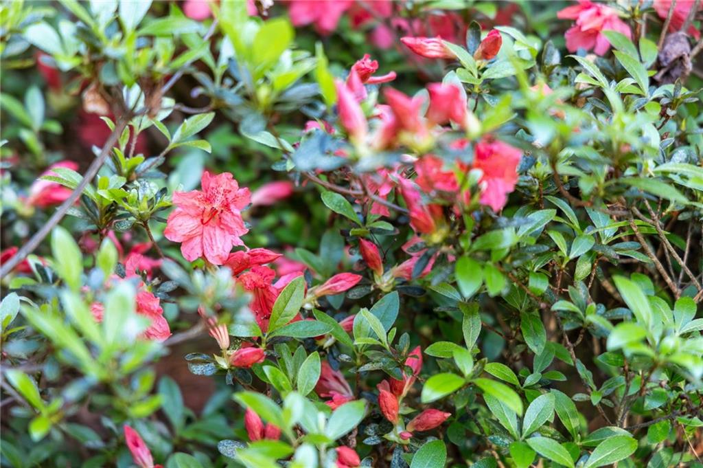 10090 Feather Sound Court