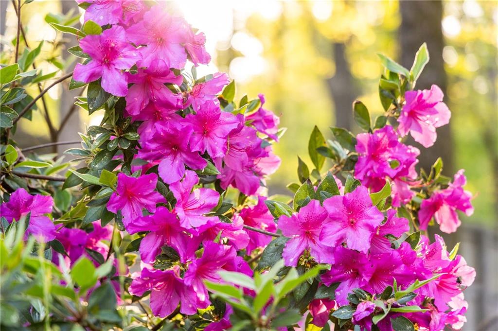 10090 Feather Sound Court