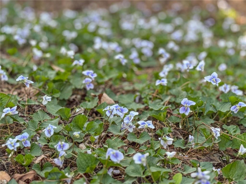 10090 Feather Sound Court