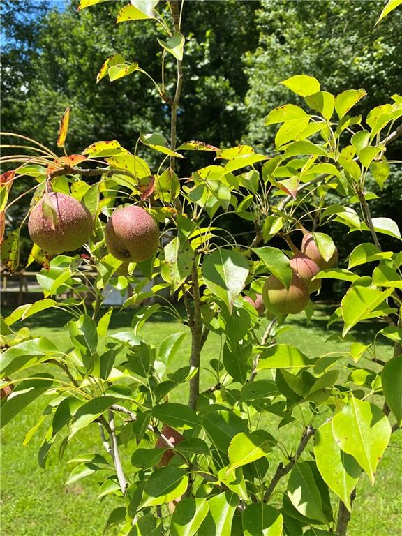 815 E Hembree Crossing