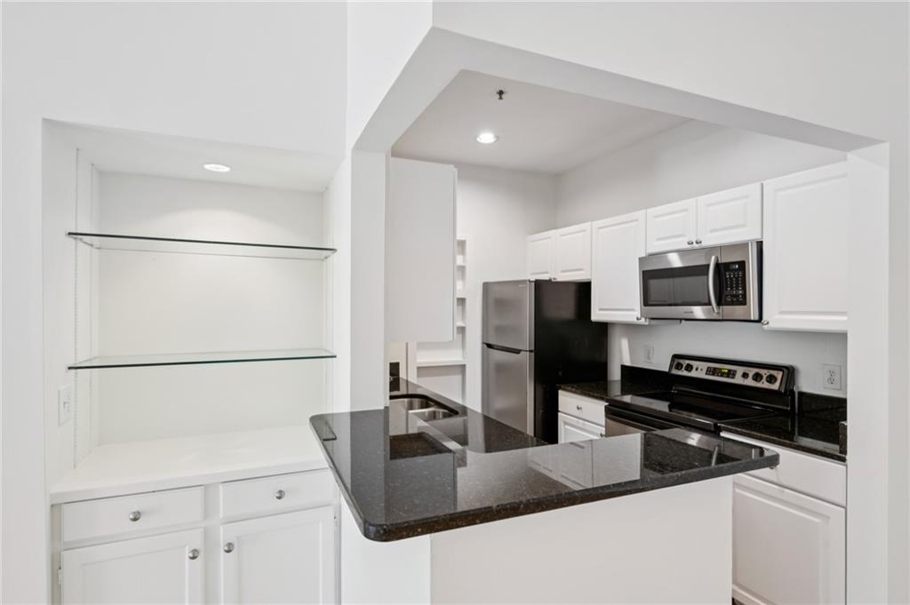 2921 Lenox Road NE Unit 106
