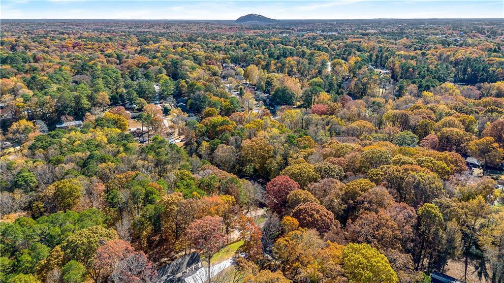 4276 Smithsonia Drive