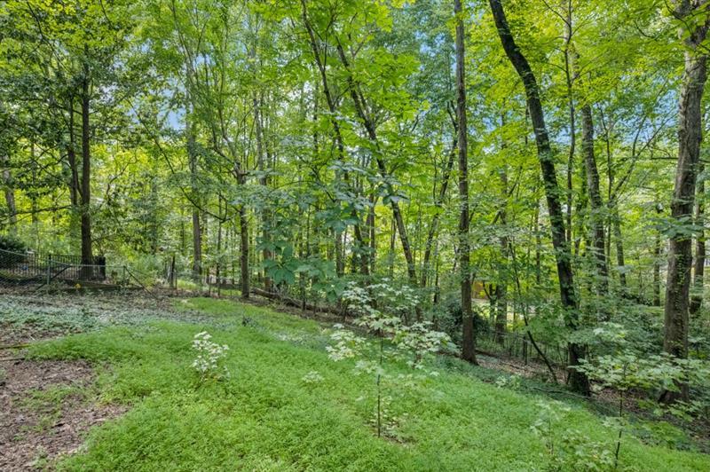 1153 Byrnwyck Court NE