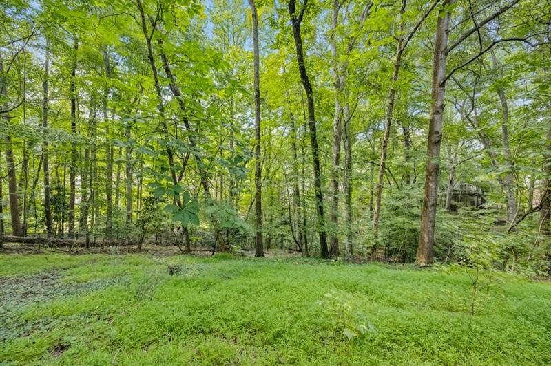 1153 Byrnwyck Court NE