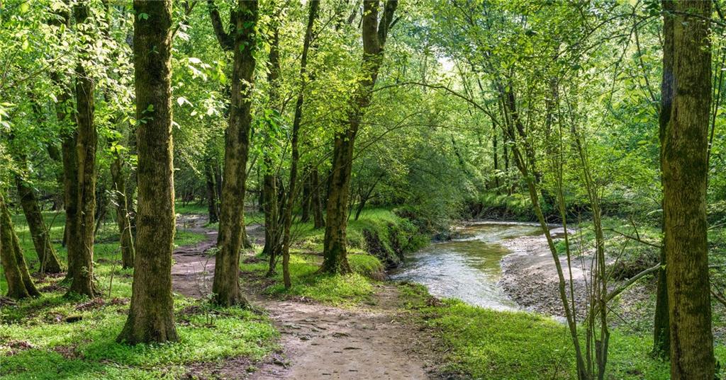 320 Sea Holly Circle