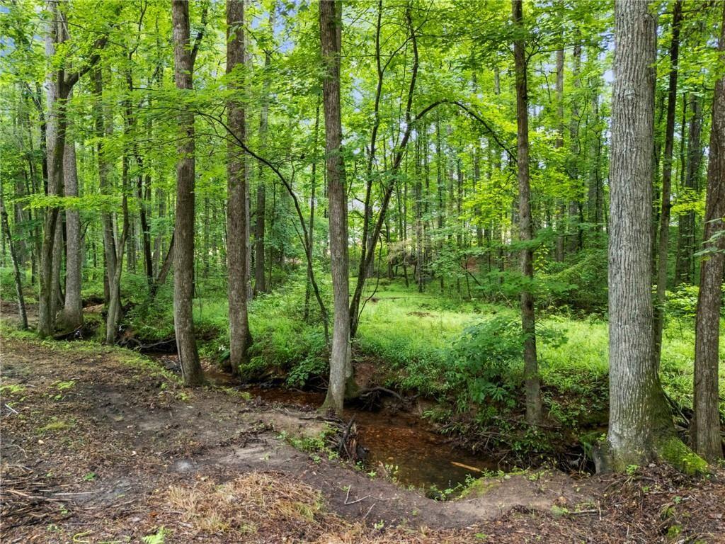 1945 Pine Mountain Road
