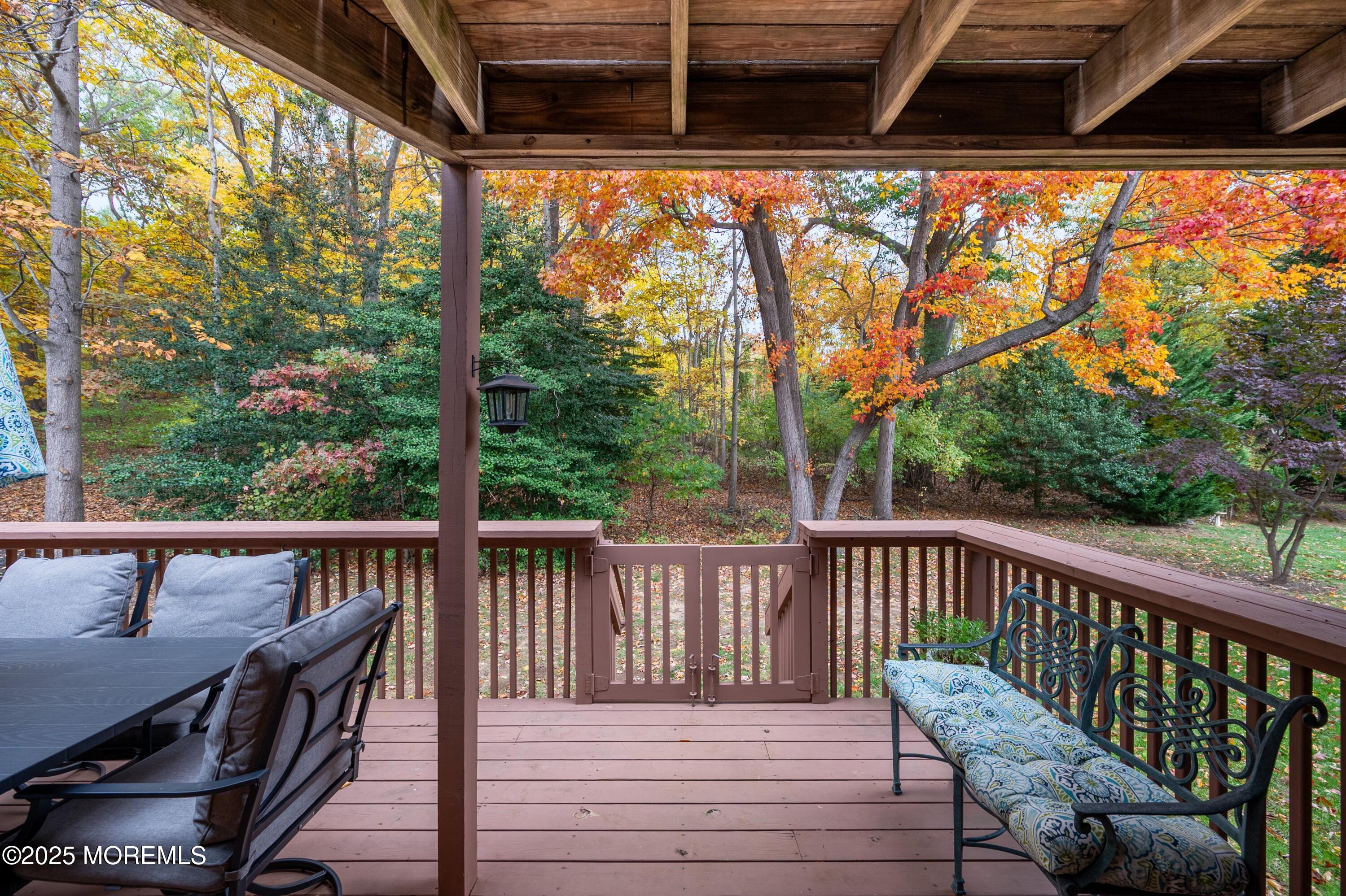 49 Pape Drive