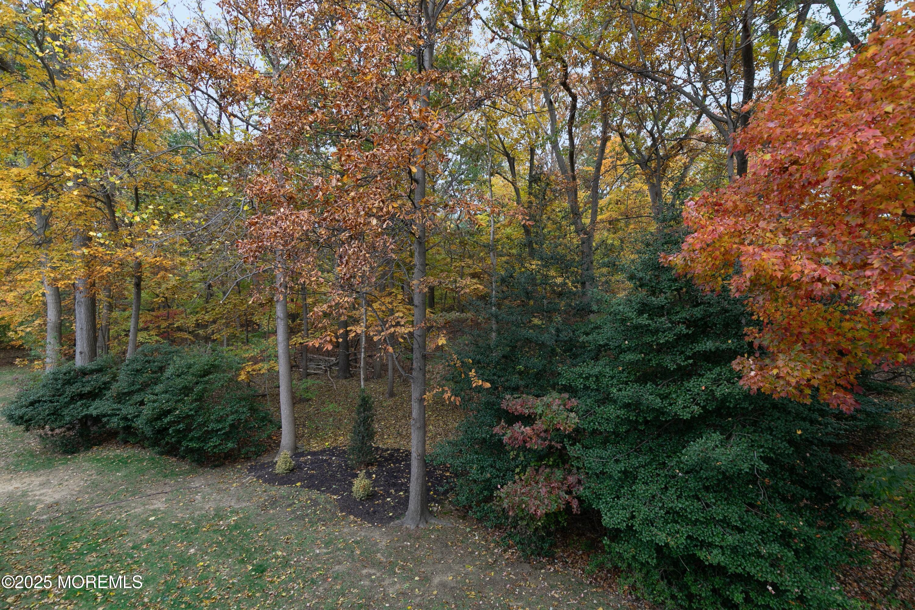 49 Pape Drive