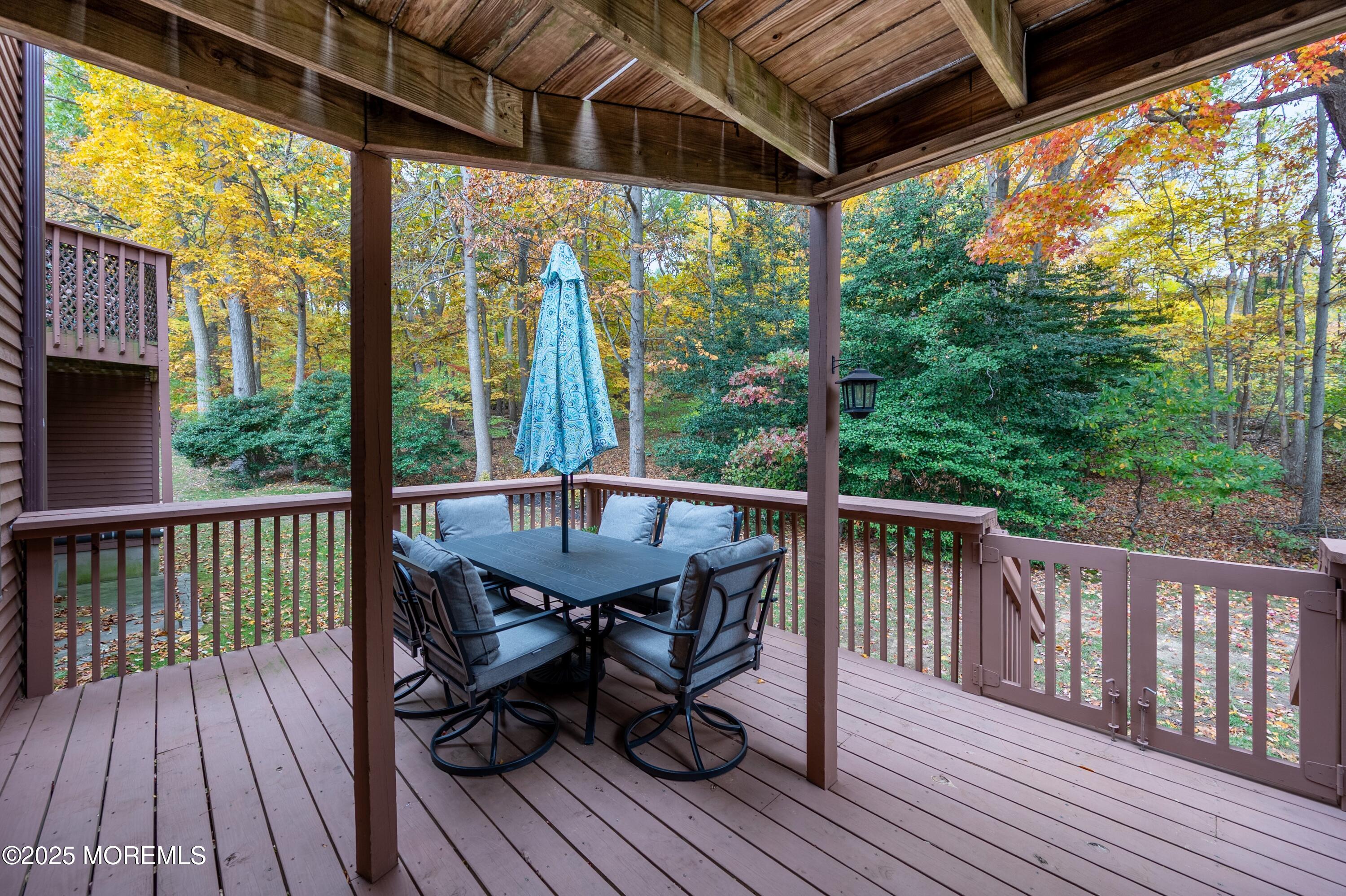 49 Pape Drive