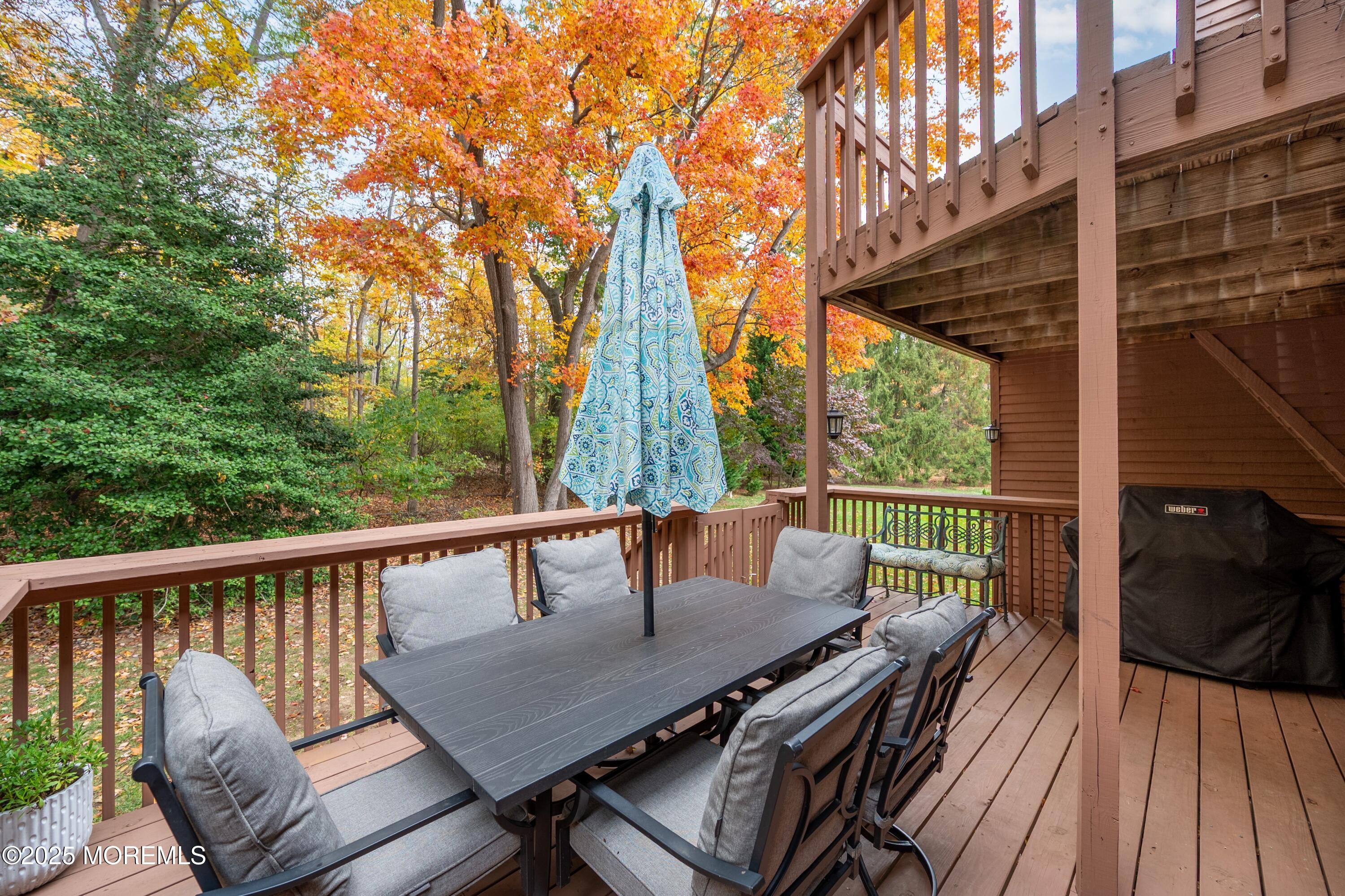49 Pape Drive