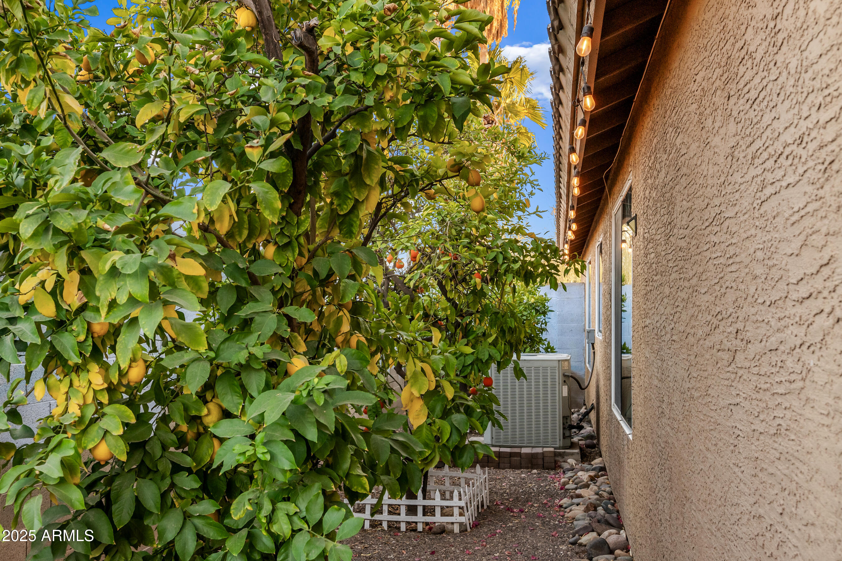 2310 E Siesta Lane