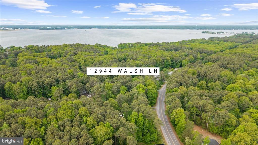 12944 WALSH LANE