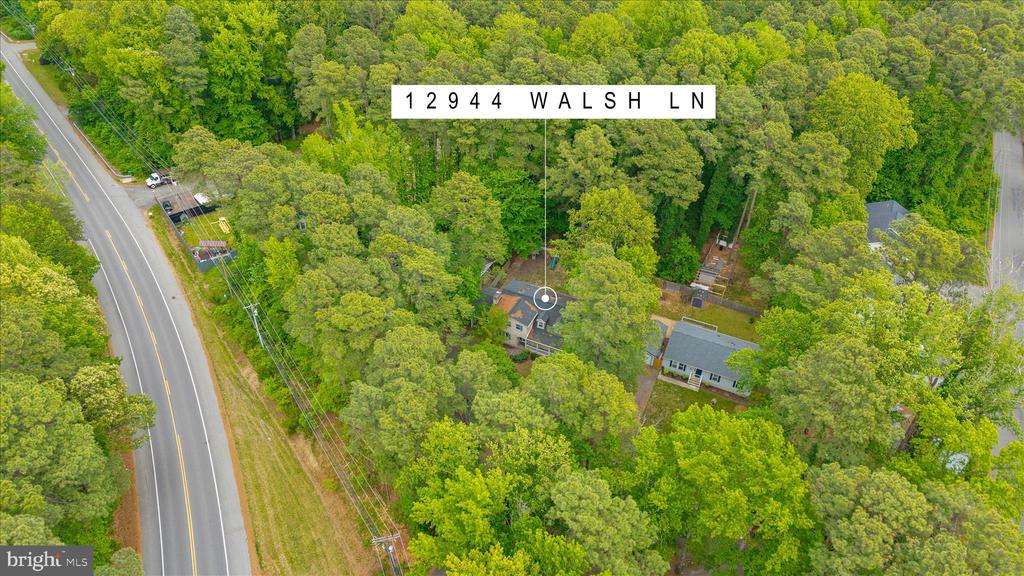 12944 WALSH LANE