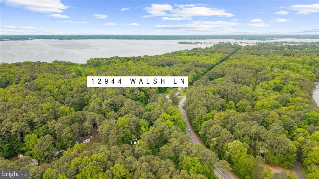 12944 WALSH LANE
