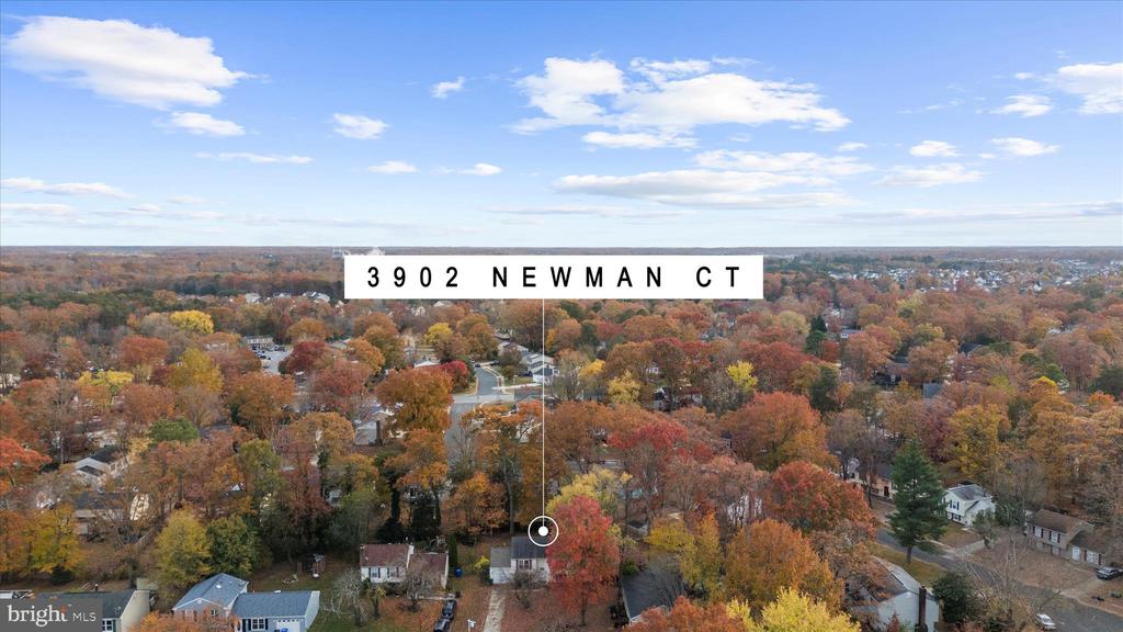 3902 NEWMAN COURT