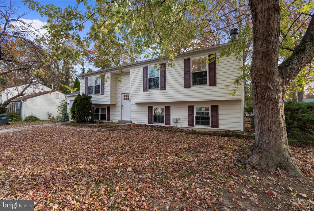 3902 NEWMAN COURT