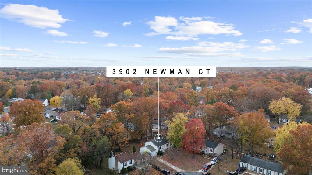 3902 NEWMAN COURT