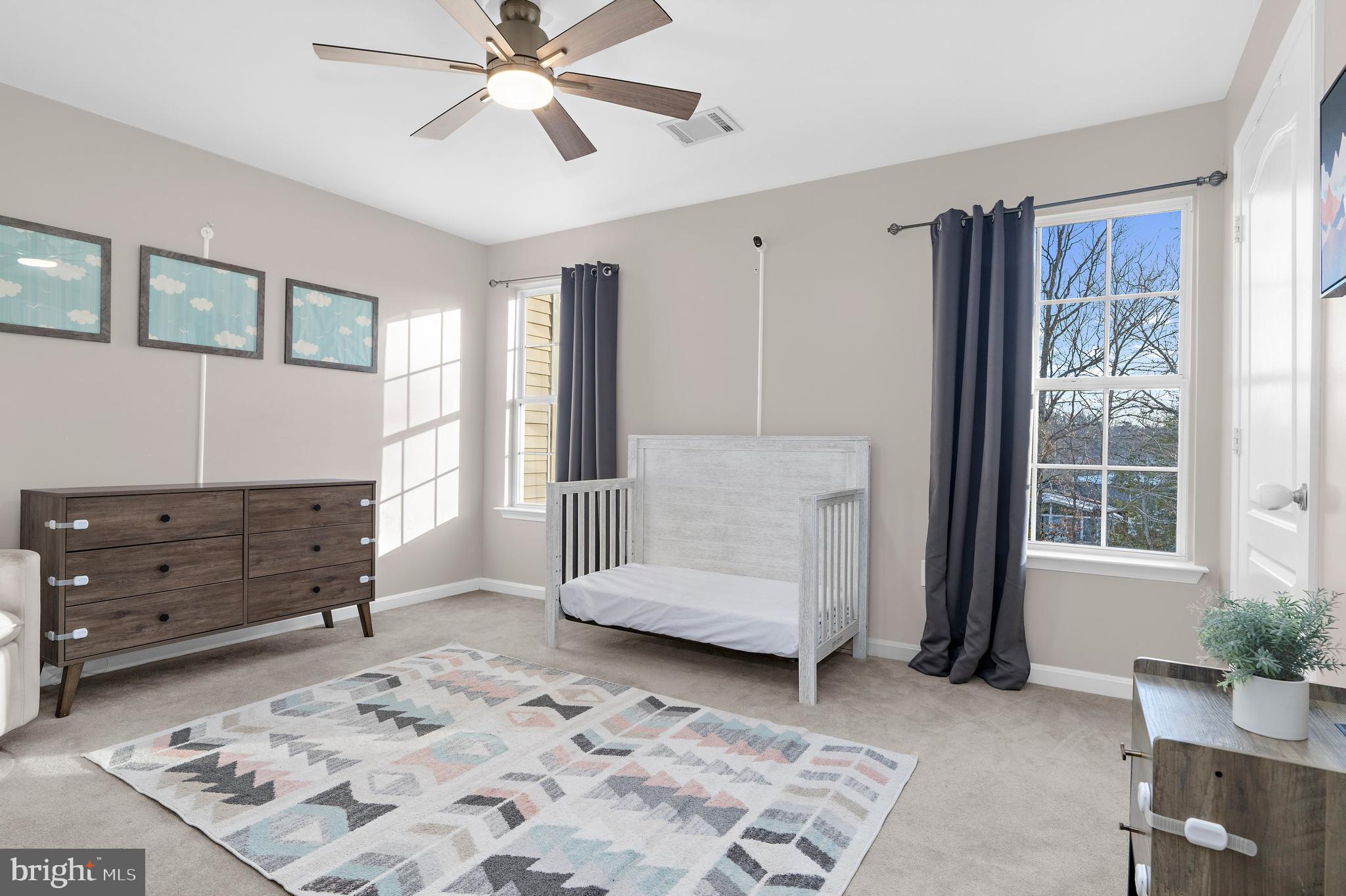 13159 PARTRIDGE BERRY COURT