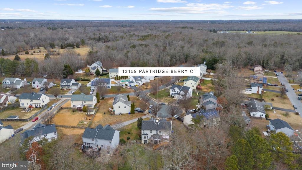 13159 PARTRIDGE BERRY COURT