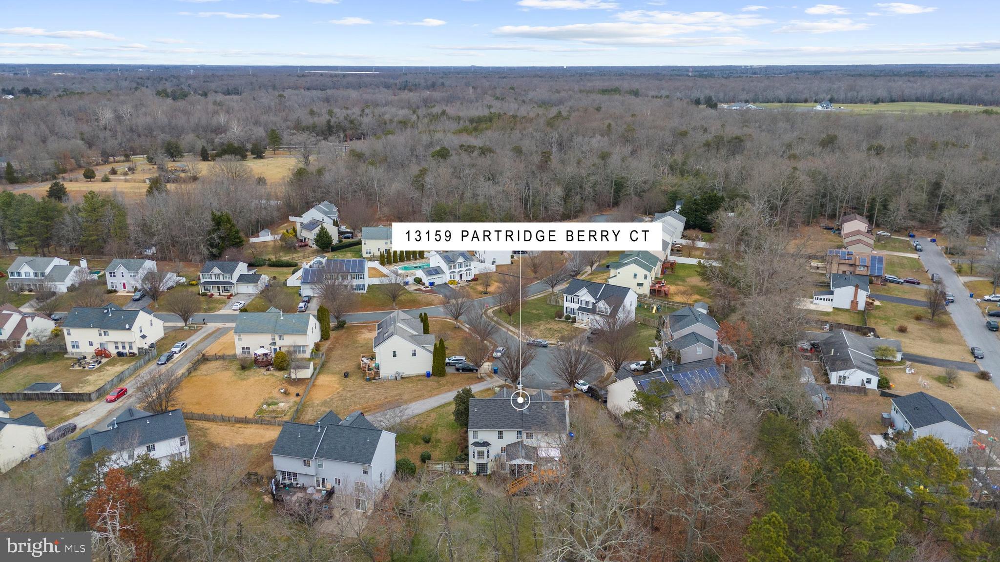 13159 PARTRIDGE BERRY COURT