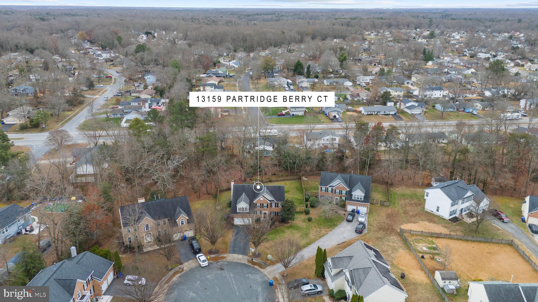 13159 PARTRIDGE BERRY COURT