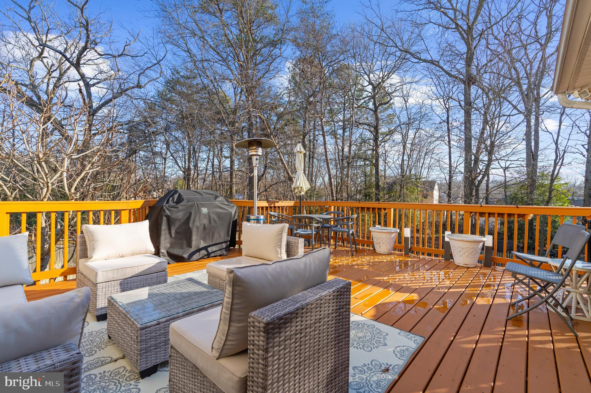 13159 PARTRIDGE BERRY COURT