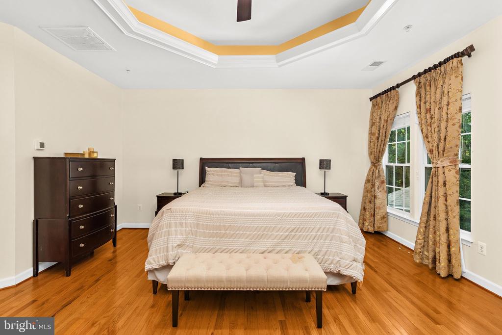 Bedroom with a tray ceiling, hardwood floors, and tall curtained windows beside the bed.