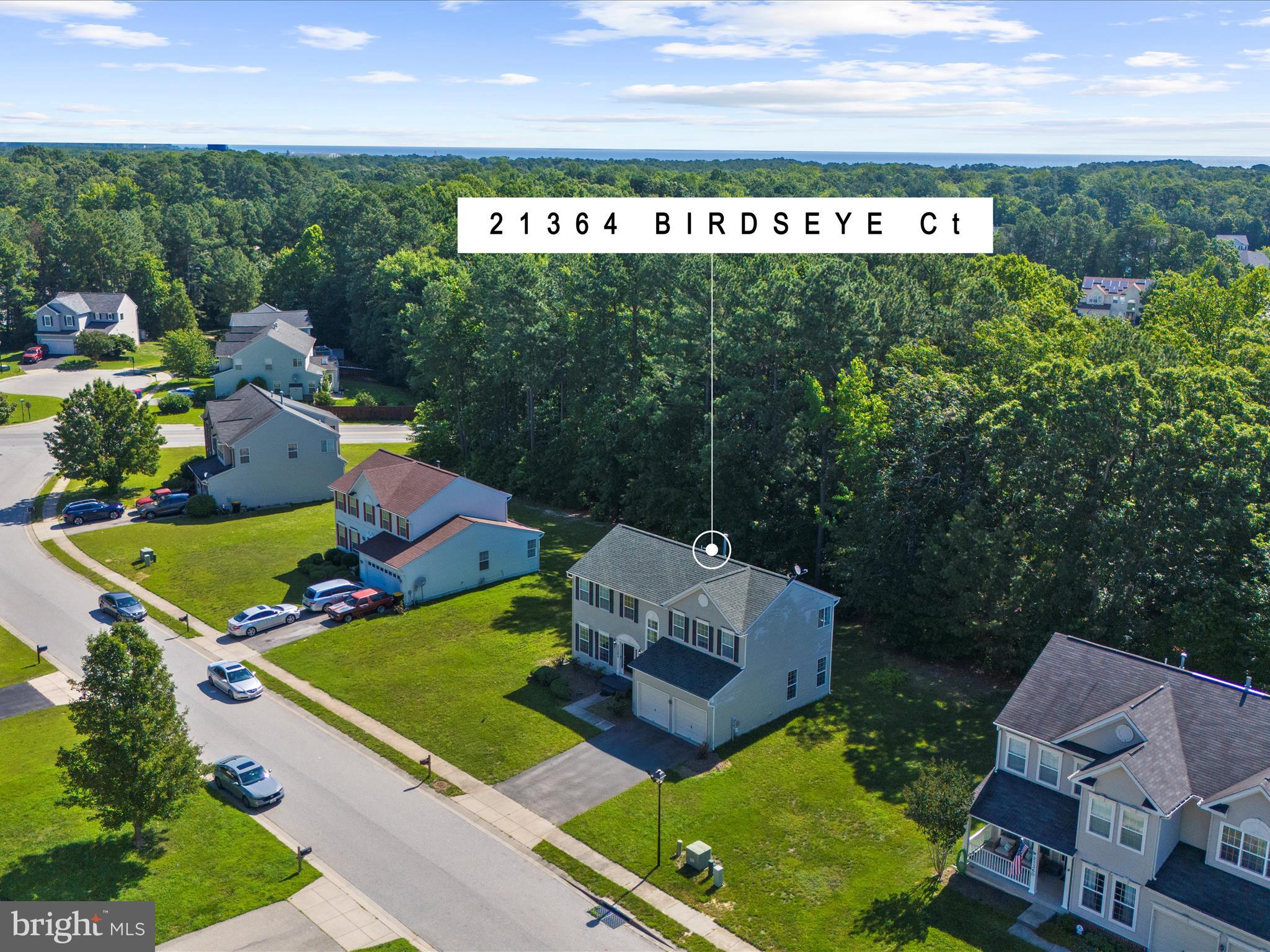 21364 Birdseye Ct