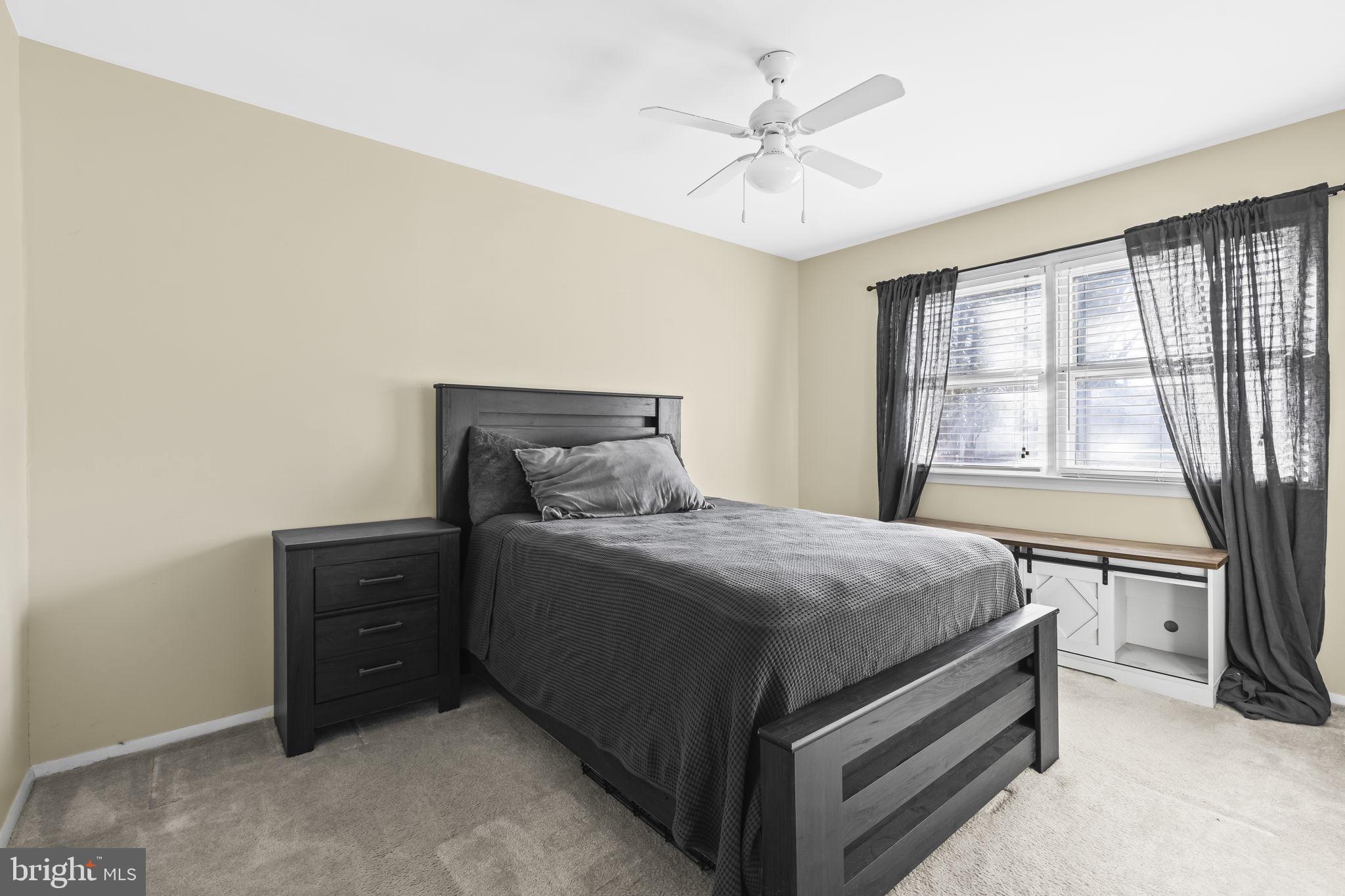 4355 ALBEMARLE COURT