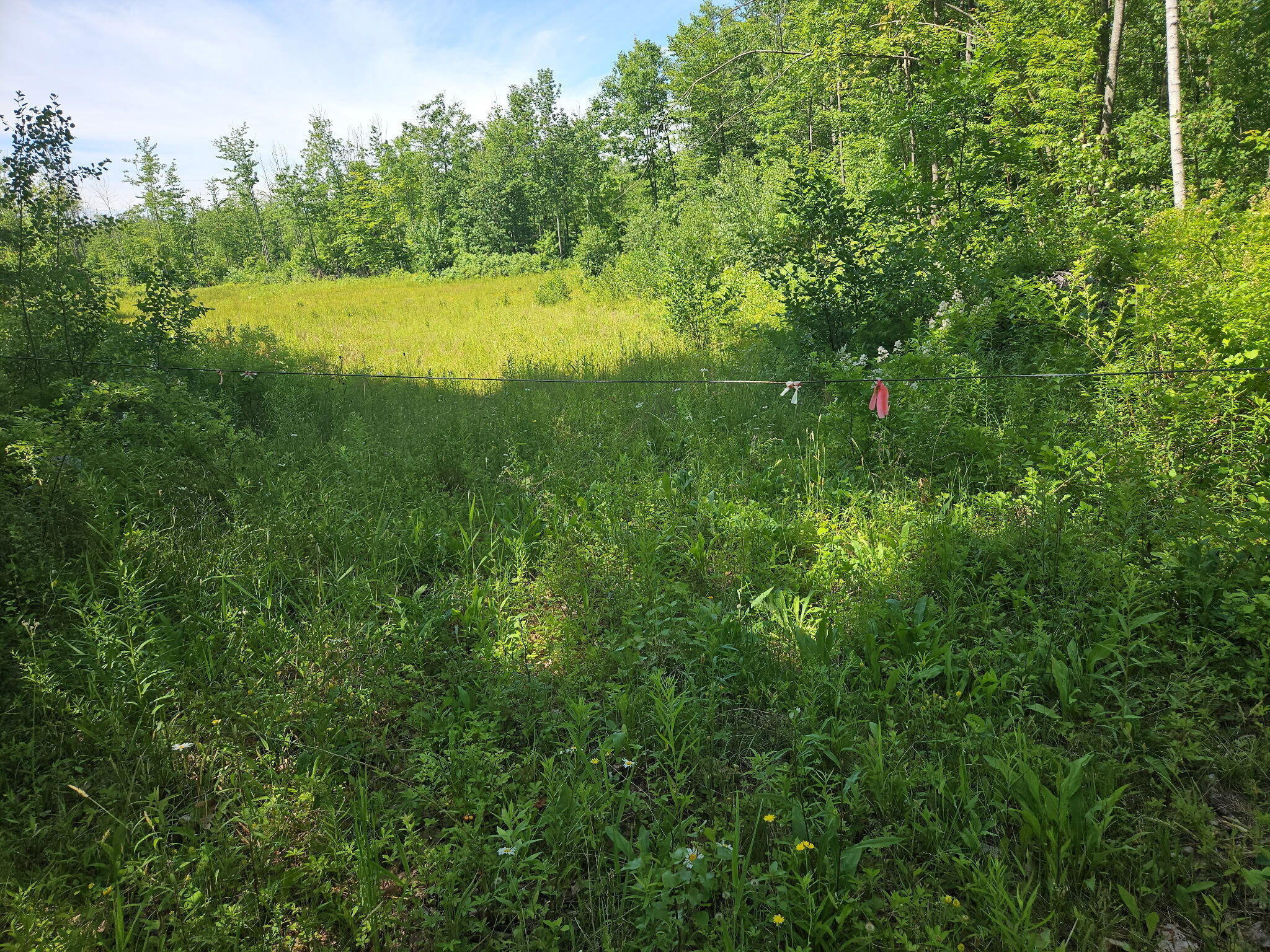 579 Maple Ridge Road