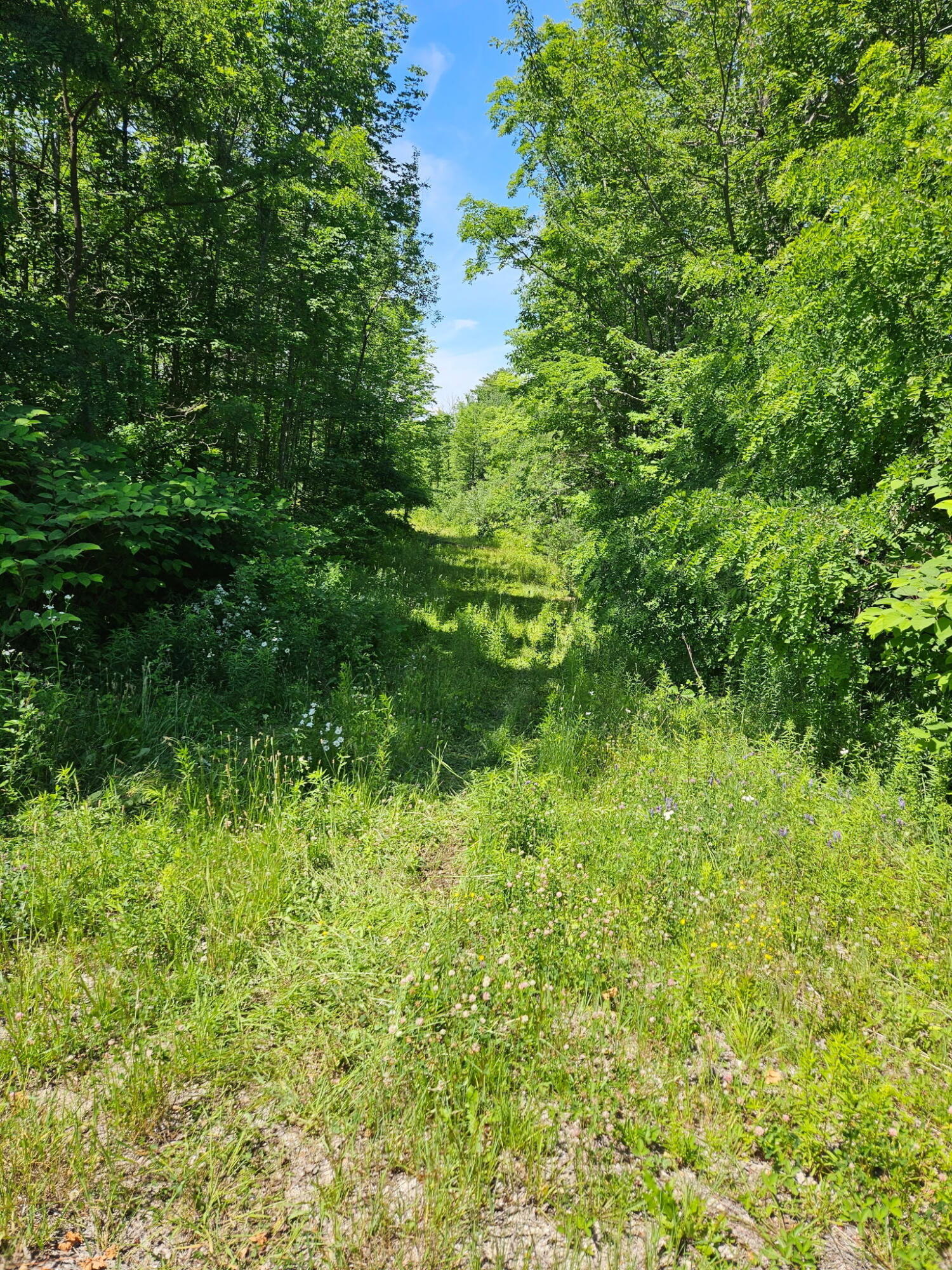 579 Maple Ridge Road