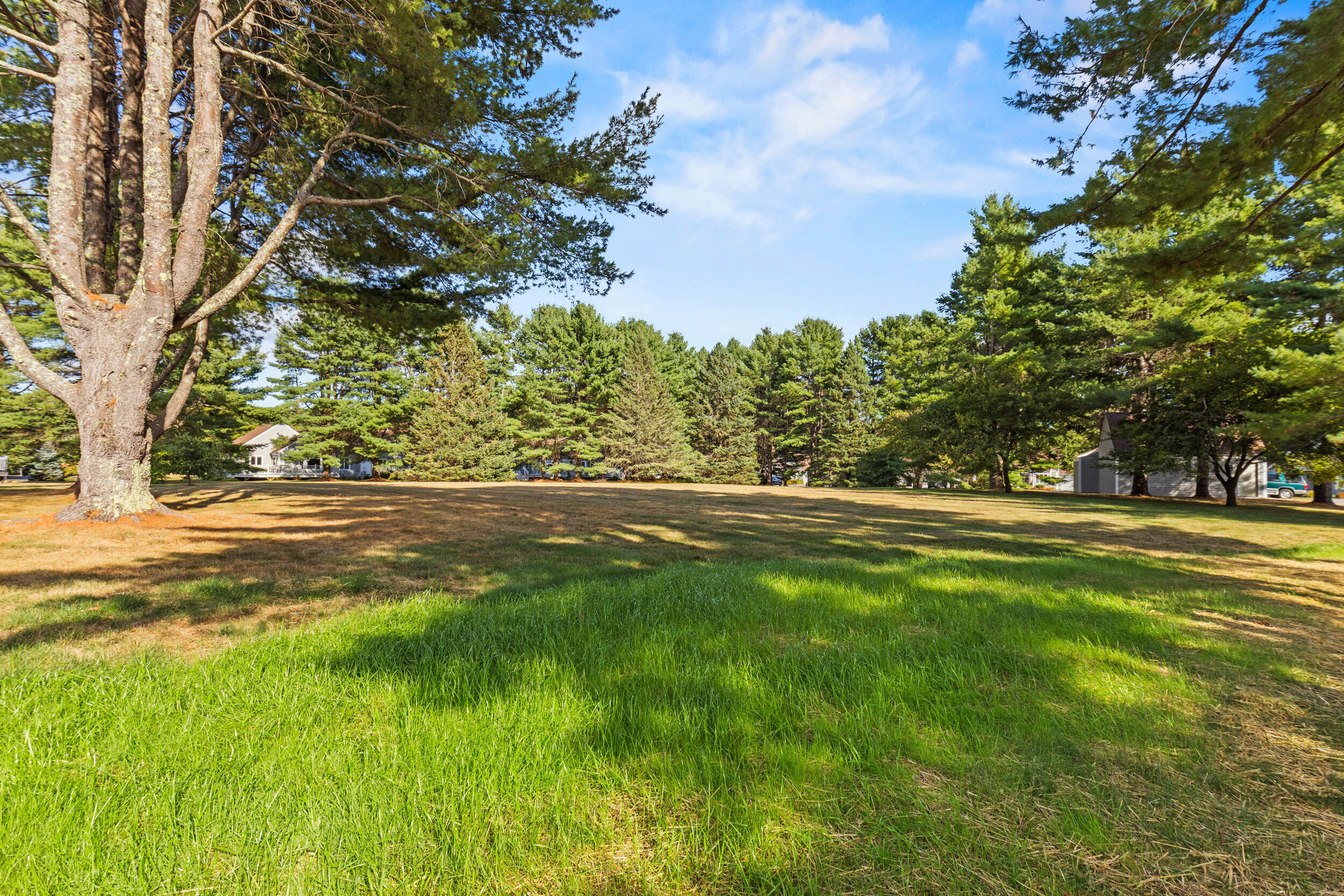 Spacious grassy yard framed by mature trees, with neighboring homes in the distance.
