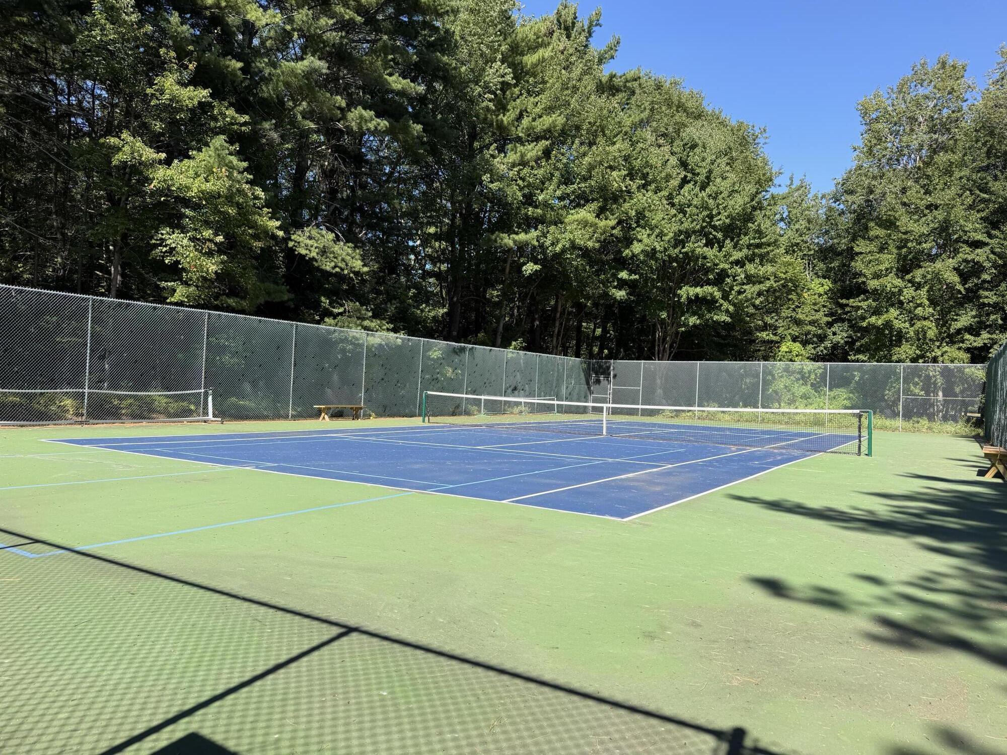 Fenced blue tennis court surrounded by trees.