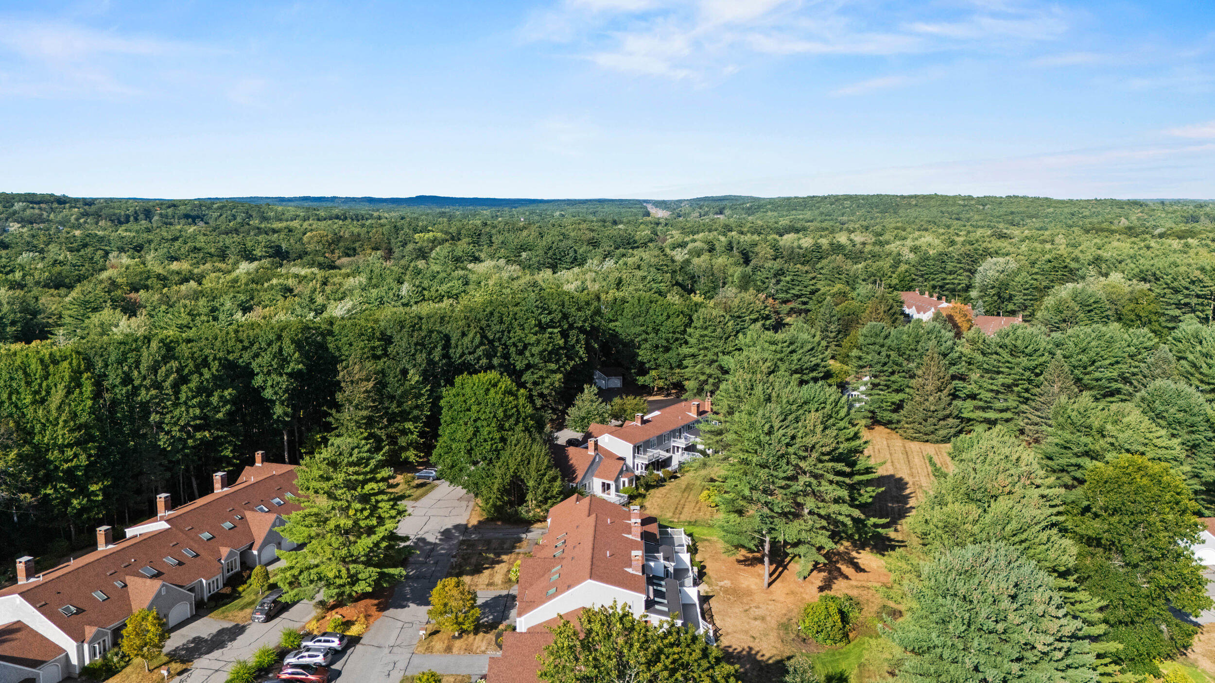 Aerial view of red-roofed residential buildings nestled among dense woodland.