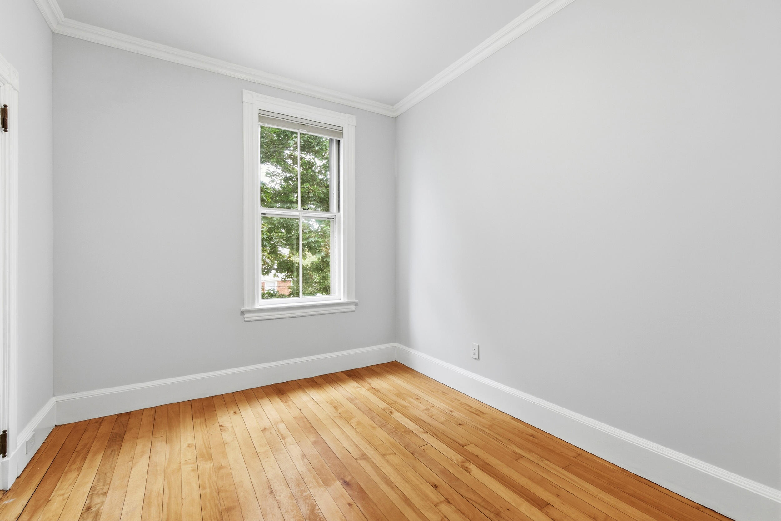 Empty bedroom with a tall window, light gray walls, and honey-toned hardwood floors.