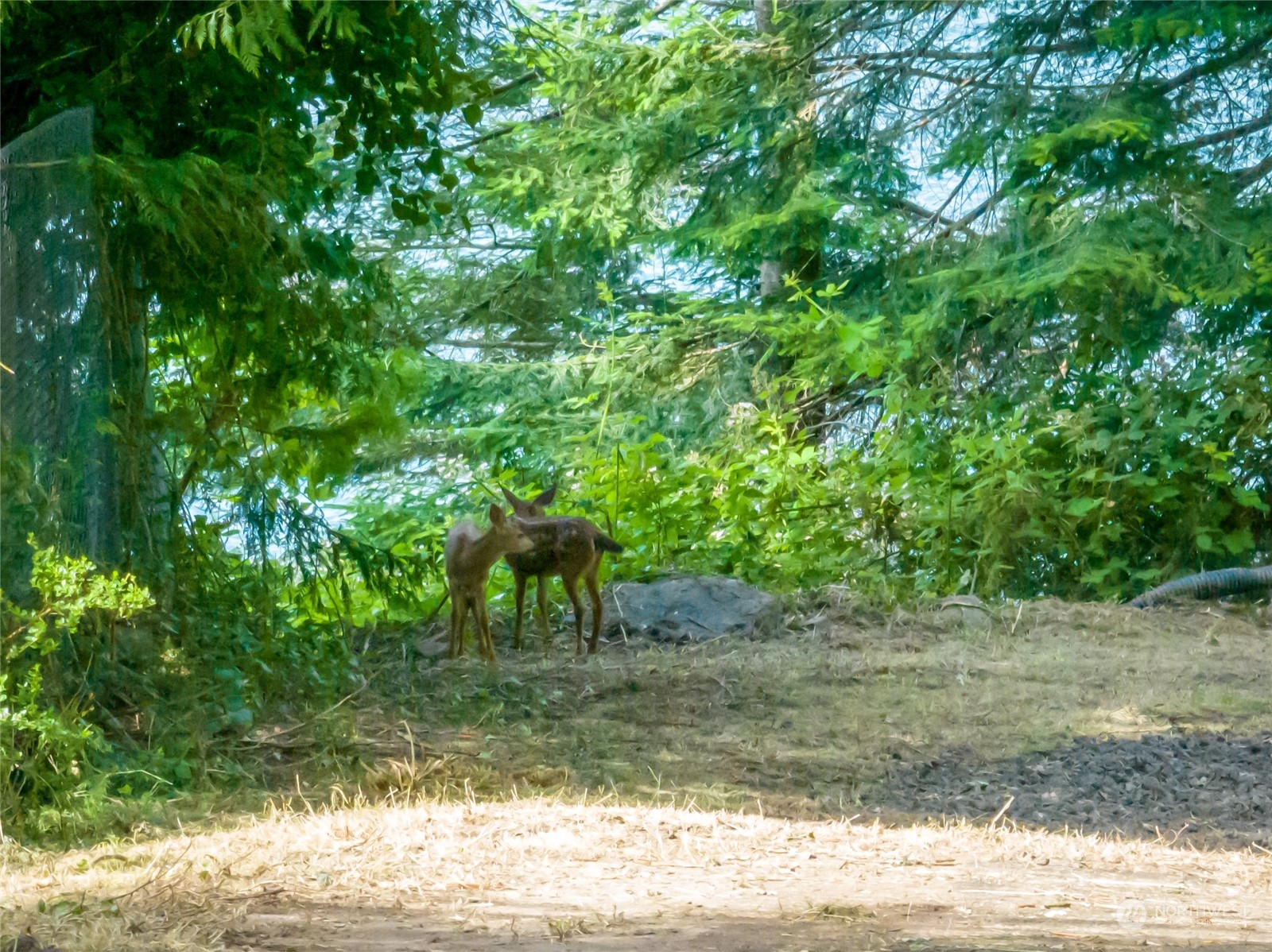 89 Raft Island Drive NW