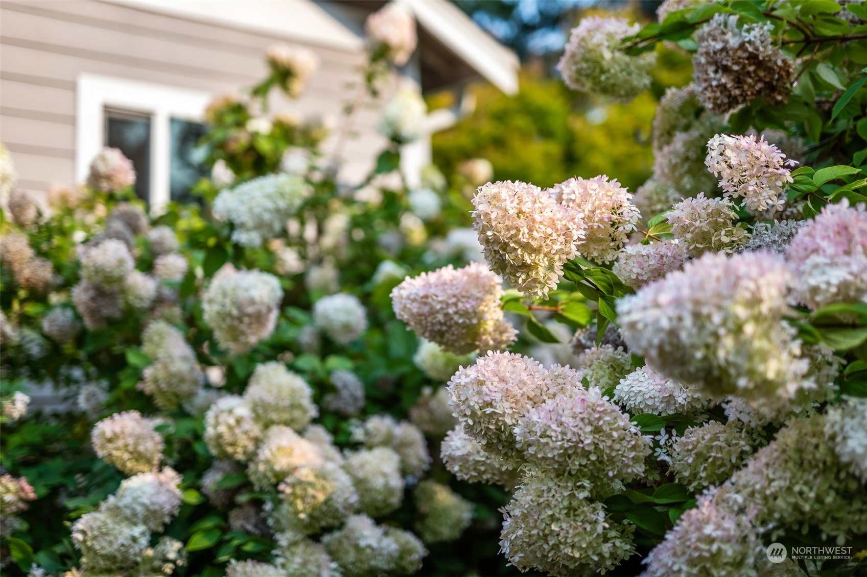 1816 153rd Street Ct NW