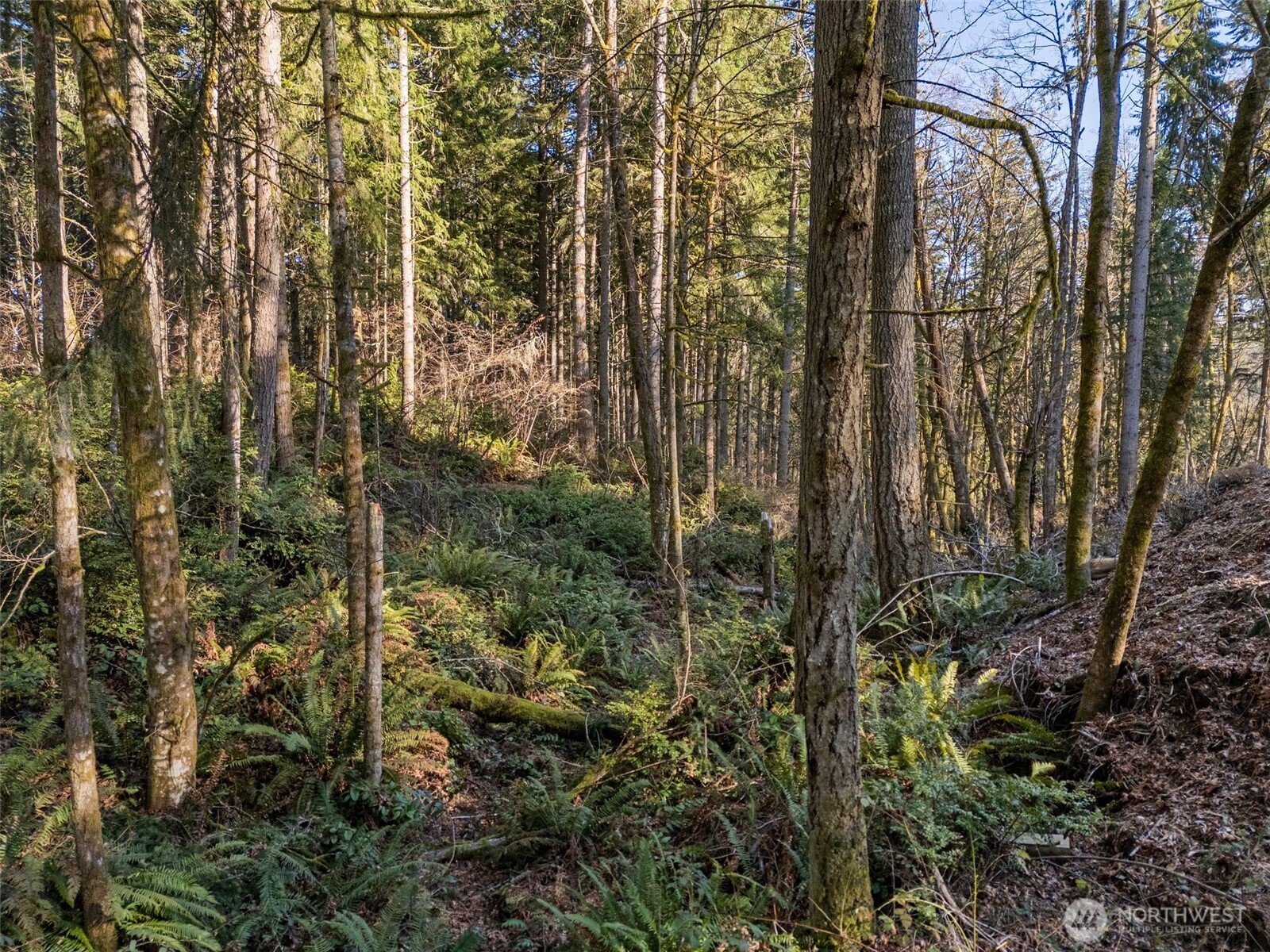 9421 63rd (Lot 4) Street NW