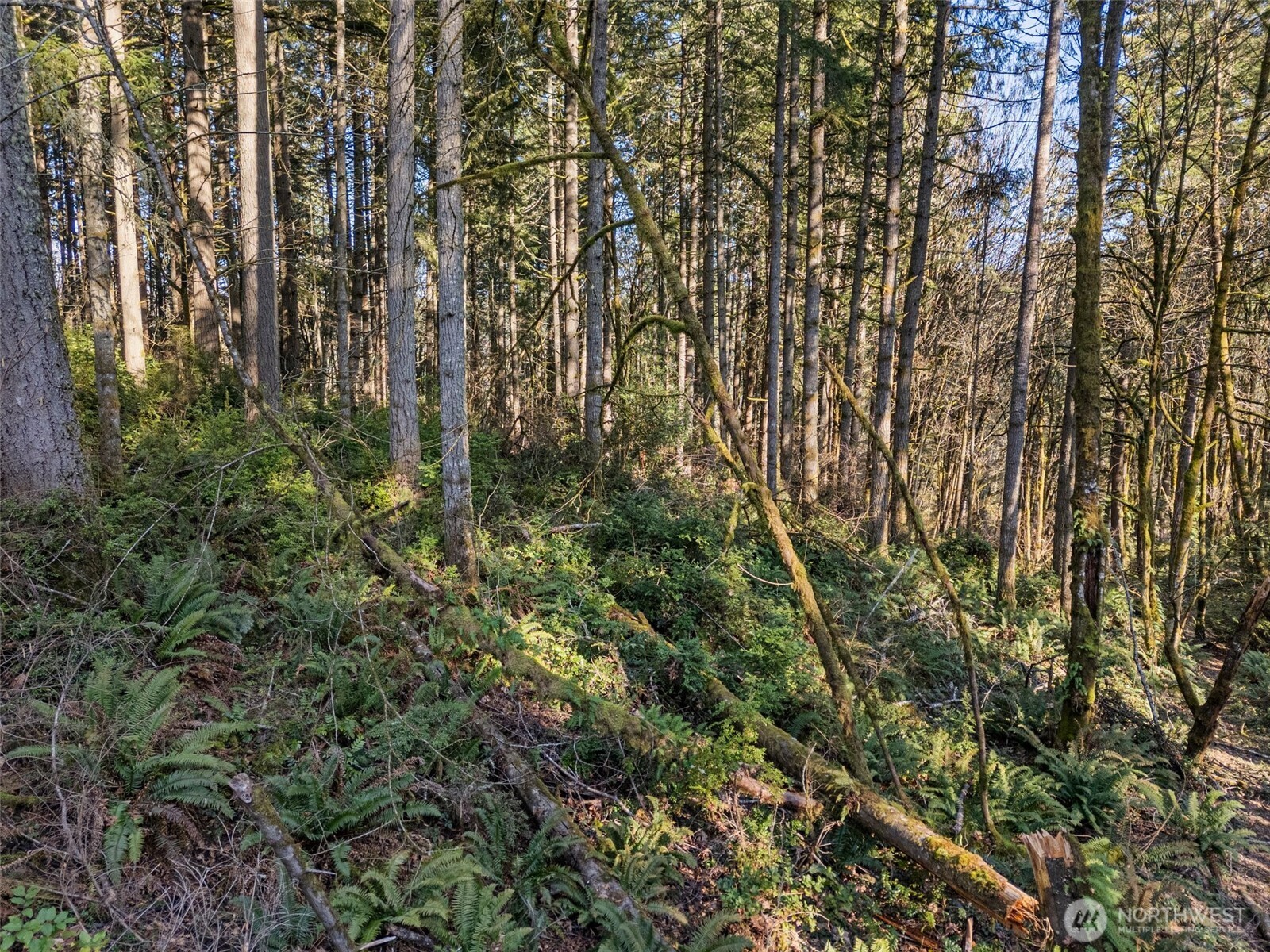 9421 63rd (Lot 4) Street NW