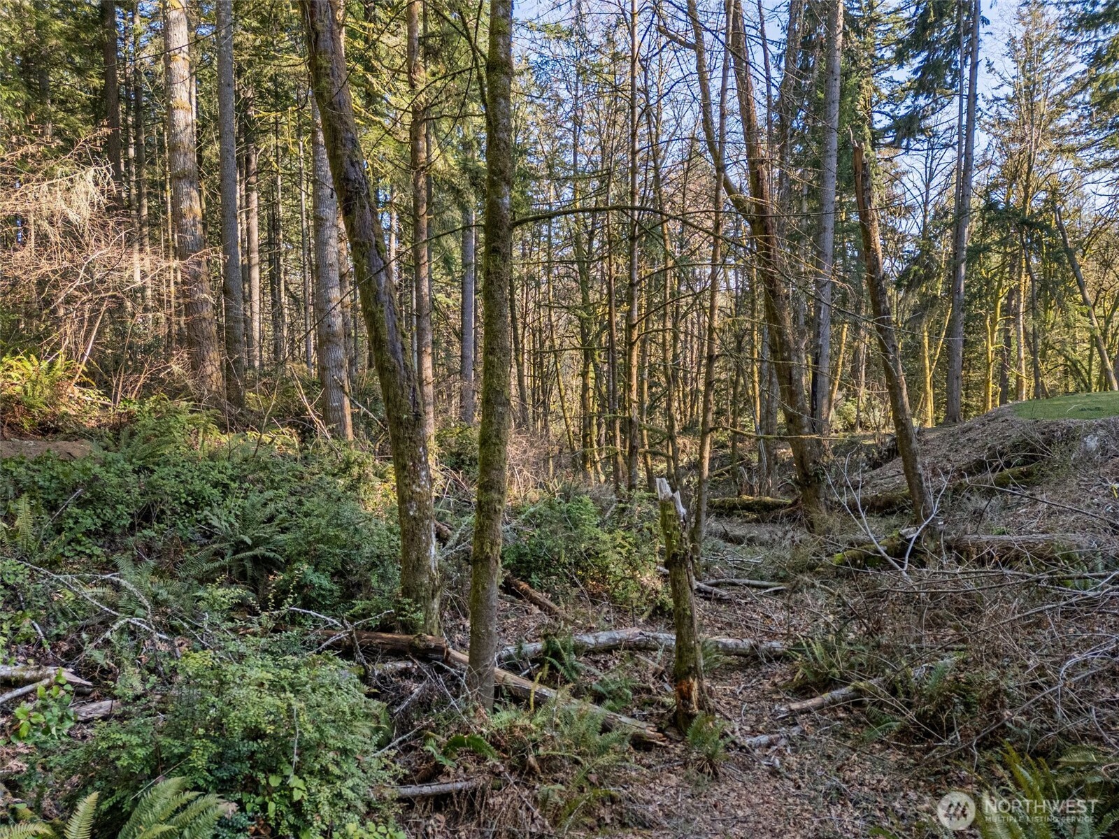 9421 63rd (Lot 4) Street NW