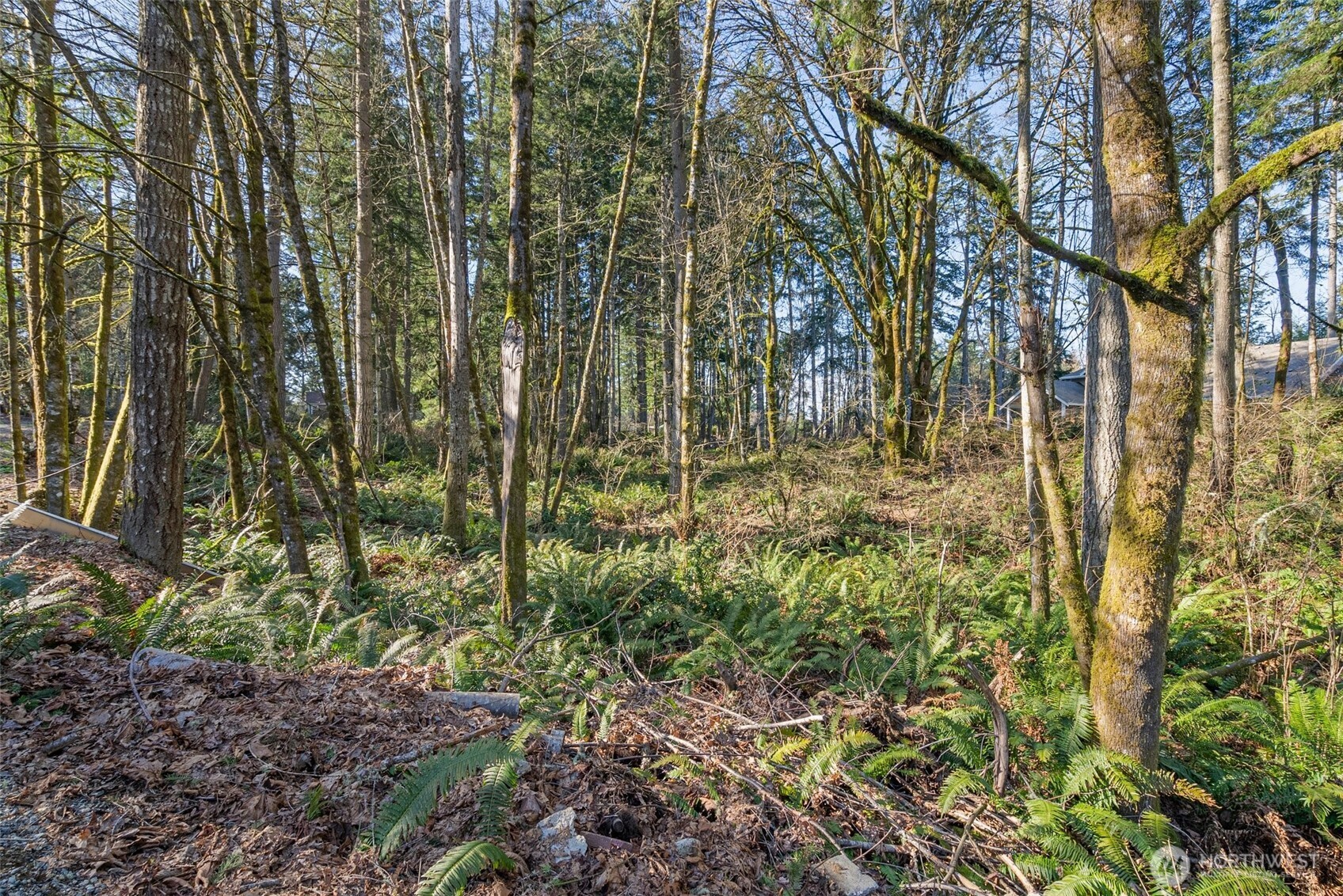 9519 63rd (Lot 3) Street NW